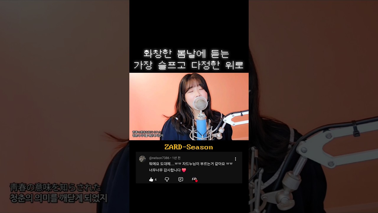 화창한 봄날에 듣는 가장 슬프고 다정한 위로 #zard #season #cover