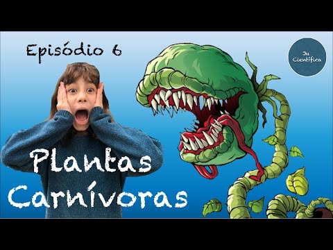 Vídeo: O Que São Plantas Carnívoras