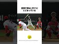 【大和9人】大和の思い出