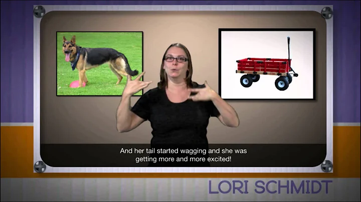 Lori Schmidt Storytelling