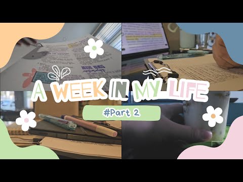 ‎‧₊˚✧ Study Vlog ✧˚₊‧ week in my life (part 2), defeated by the holidays, stress