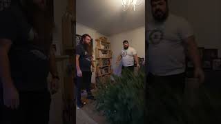 Ultimate Christmas tree removal
