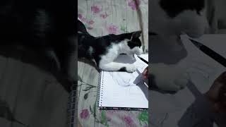 Quando vc decide desenhar do lado do seu gato: