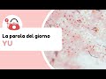 Cosa significa questo kanji che si vede nelle terme giapponesi? 【湯】