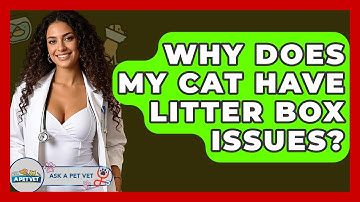 Why Does My Cat Have Litter Box Issues? - Ask A Pet Vet