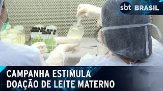 Video ministerio-da-saude-lanca-campanha-anual-de-doacao-de-leite-materno-sbt-brasil-06-05-24