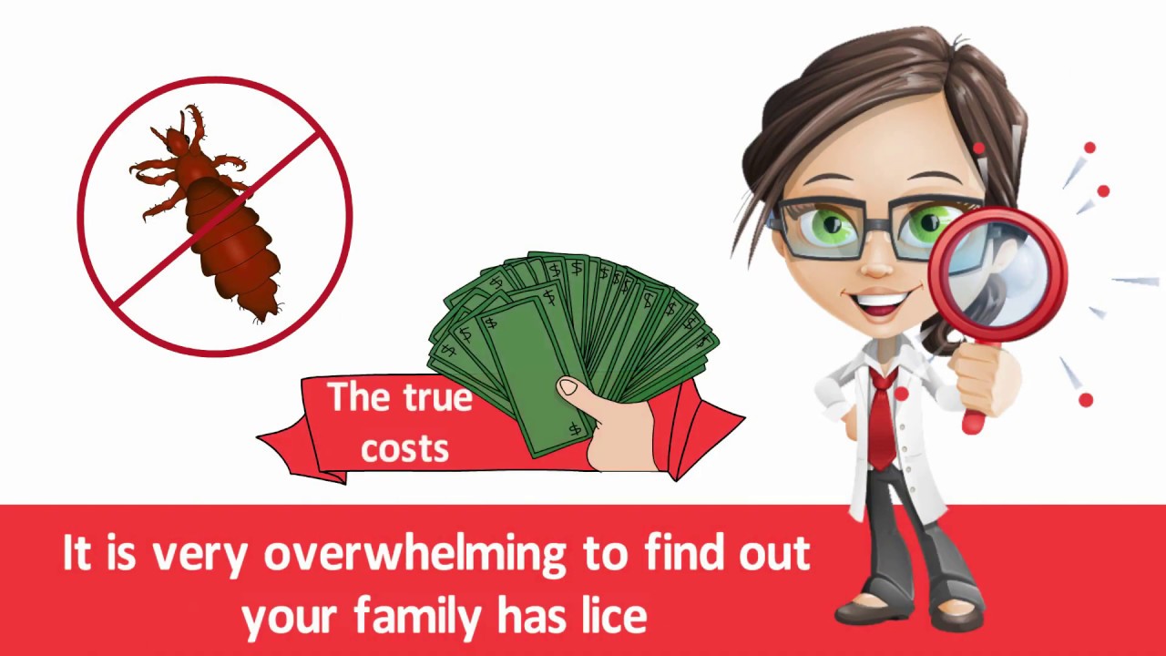 Professional Lice Removal Cost