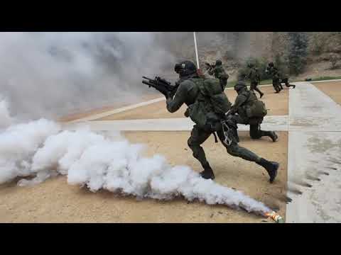 Comandos Copes Policia Nacional De Colombia Youtube