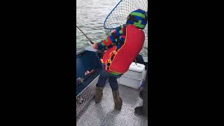Fishing Kenai River: Child reels in 34lb king salmon