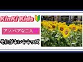 【KinKi Kids堂本光一・剛さん】アン/ペアな二人(^^)