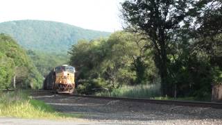 CSX Stink Train Garbage Hauler SB Smell ya Later Auto 41