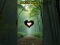 Amozon Jangal Animal | Animal Amazo Jangal #amozon #amazing #shorts