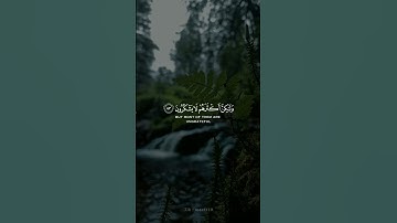 [ وان ربك لذو فضل على الناس ] حالات واتس اب قرآن كريم | سعد الغامدي