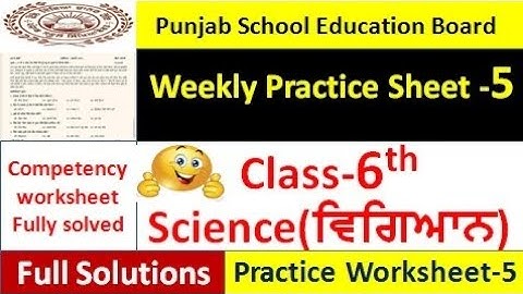 pseb competency based paper class 6th science worksheet 5 test 2024 6th class science weekly sheets