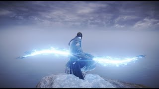 Lightblades - Moveset Demo - Elden Ring Net Worth
