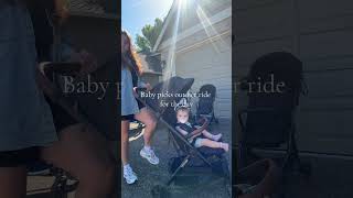 My Bombi Is Always In The Back Of Our Car