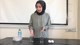 Yüzen Yumurta Deneyi Etkinliği - Okul Öncesi Çocuk Gelişimi Fen Matematik Ve Doğa Etkinlikleri