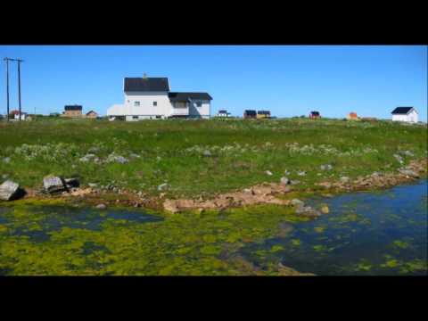 Røst juni 2012