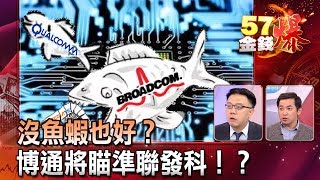 沒魚蝦也好？博通將瞄準聯發科！？ - 余健源　林信富《５７金錢爆精選》2018.0321