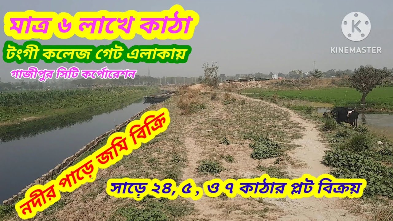 কমদামে জমি বিক্রি #টংগী ভাদাম #গাজীপুর সিটি#asset seller#Low price land sale Tongi gazipur city
