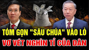 Số Phận 6 Người Được Nguyên Thủ Tướng Nguyễn Tấn Dũng Chúc Mừng Ở Lại Làm Nhiệm Vụ Mới Như Thế Nào??