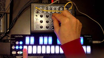 QuNexus as a random CV sequencer [HD Quality]