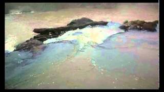 SALTO CARPE III - FLORENTINO AMEGHINO - MISIONES