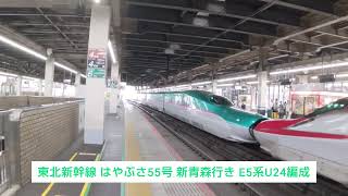 秋田新幹線 こまち55号 秋田行き E6系Z1編成と東北新幹線 はやぶさ55号 新青森行き E5系U24編成 2023.09.09