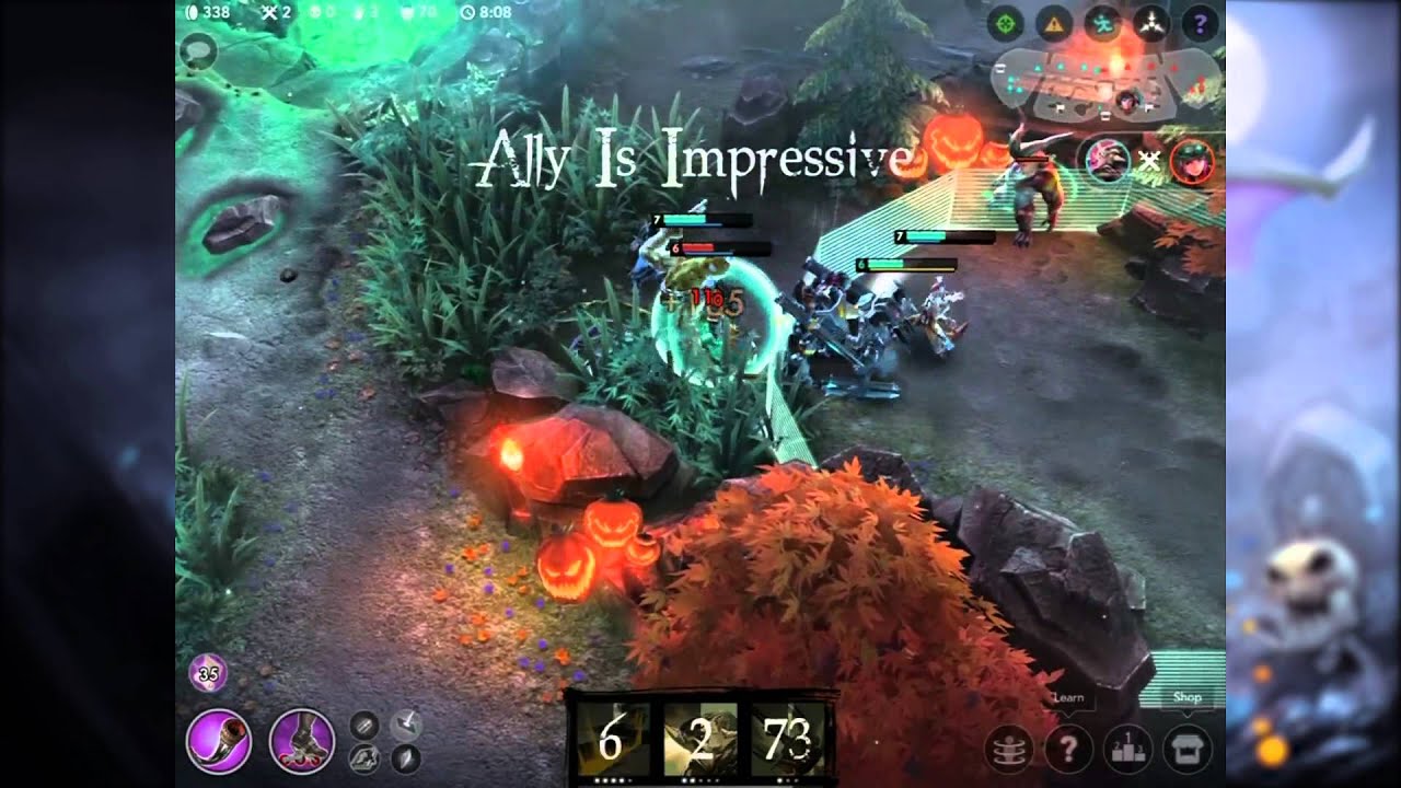 SOS Lane Phinn Montage