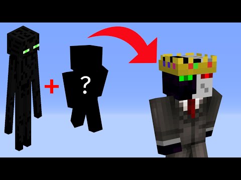 What is Ranboo's Other Half?