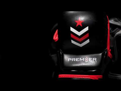 Revgear Premier Deluxe MMA Training Gloves