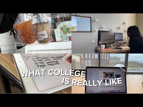 pov: you’re a college senior in april | umich vlog