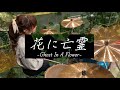 【しゃっぽ。】花に亡霊/ヨルシカ【たたいてみた】泣きたい私は猫をかぶる 主題歌 Ghost In A Flower/Yorushika
