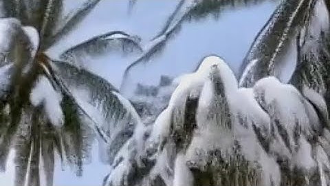 Text2Video AI synthesis. ML by ModelScope.cn