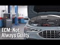 Why the ECM Is Not the Problem (Most of the Time) | CodeMechanic