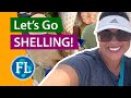  welcome to florida beach walks shelling florida shells virtual shelling