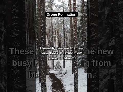 Drone Pollination #shorts #dronesinagriculture #dronepolinantion #drone #smartfarming #smartfarming