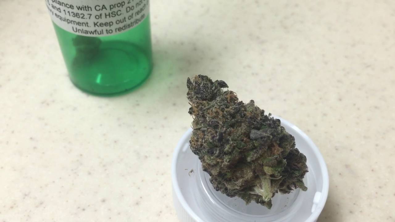 Sunset sherbet strain review