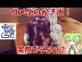 【コメダ珈琲】コメダのかき氷って実際どうなの？