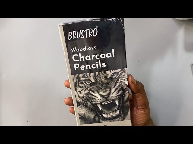 Charcoal Pencil - Buy Artline Products on Best Price in India
