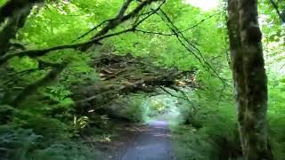 Hiking around Sky Country Trailhead in the summer