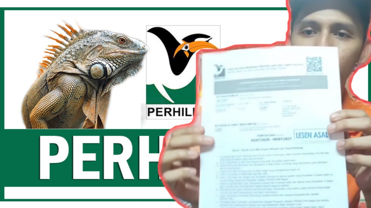 Bagaimana Untuk Mendapatkan Kedai Haiwan Peliharaan Jenis Aktiviti 2021