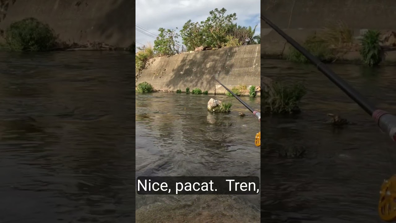 Ловля тилапии в лунке 