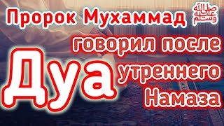 Дуа после утреннего НАМАЗА. Дуа Пророка МУХАММАДА мир ему и благословение АЛЛАХА.