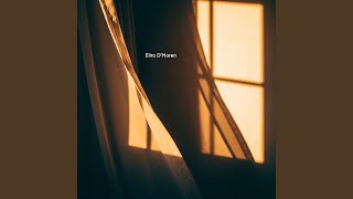 Sunlit Corners
