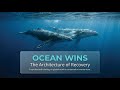 The Tide is Turning: 5 Massive Wins Proving We Can Still Save Our Oceans