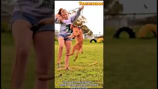 Dog training belgianmalinois k9 #dog #puppy #k9 #belgianmalinois #malinois