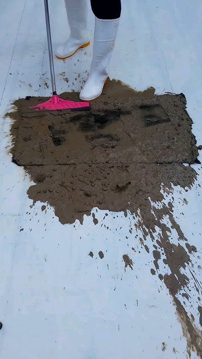 How To Clean Very Dirty Carpet shorts YouTube 1-how-to-clean-very-dirty-toilet