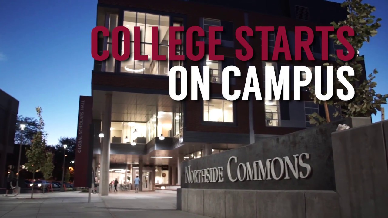 to WSU Housing & Residence Life! YouTube