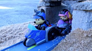 PAW Patrol en la GRAN CARRERA! Patrulla canina coches carros de Patrulla de cachorros #racing #toys